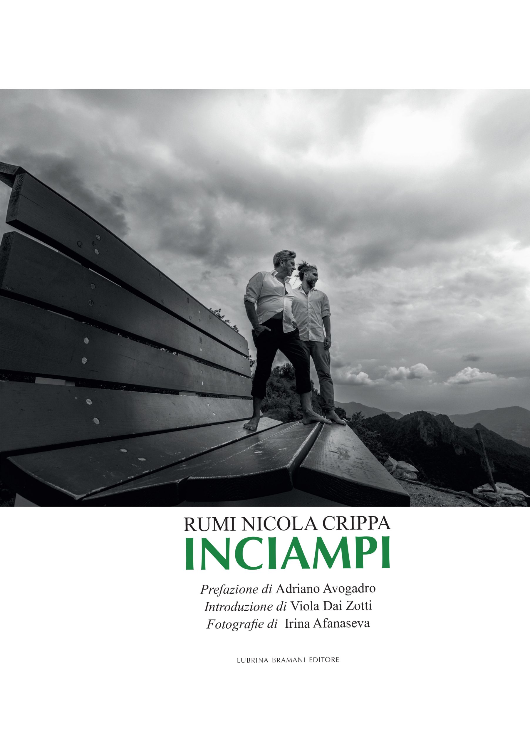 Copertina del libro Inciampi