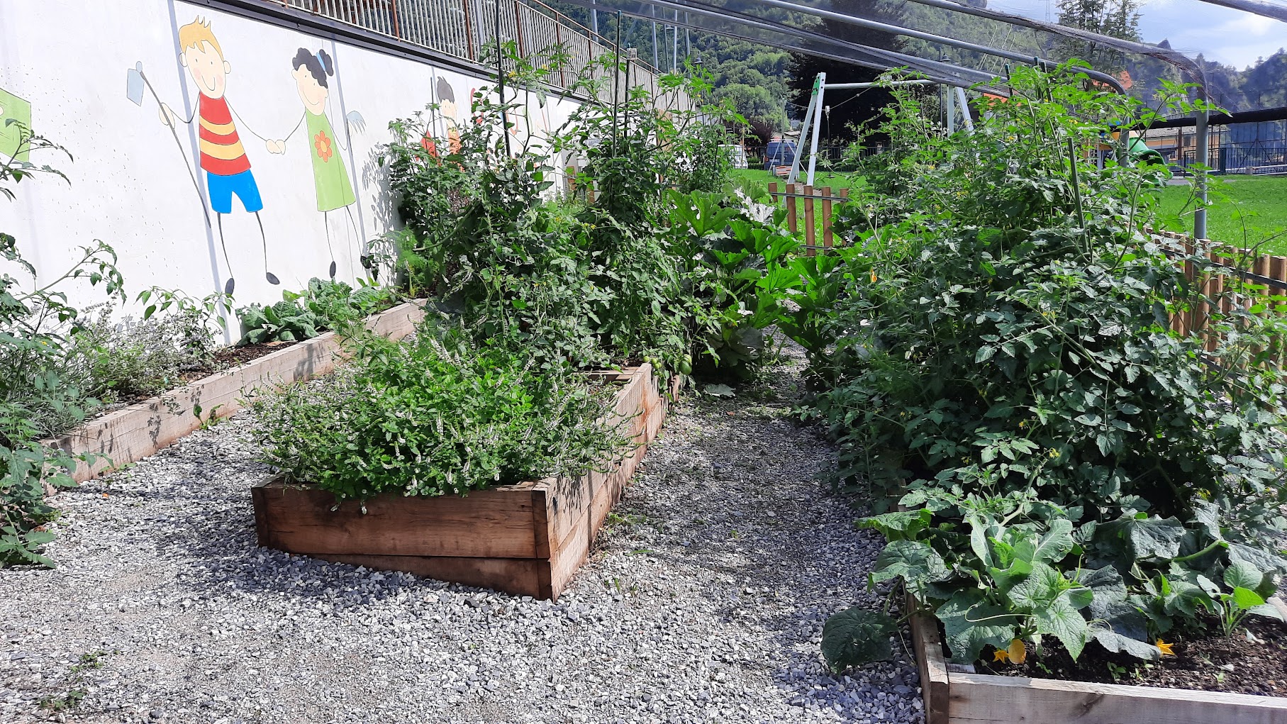 La raccolta dei frutti