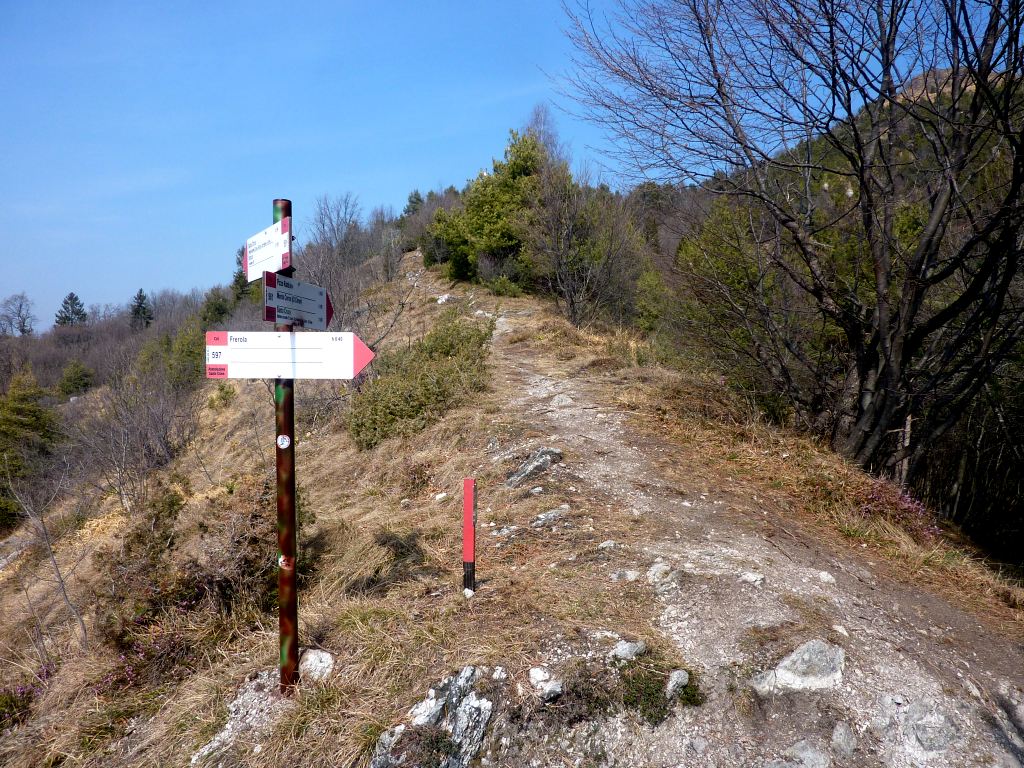 Sentiero 561