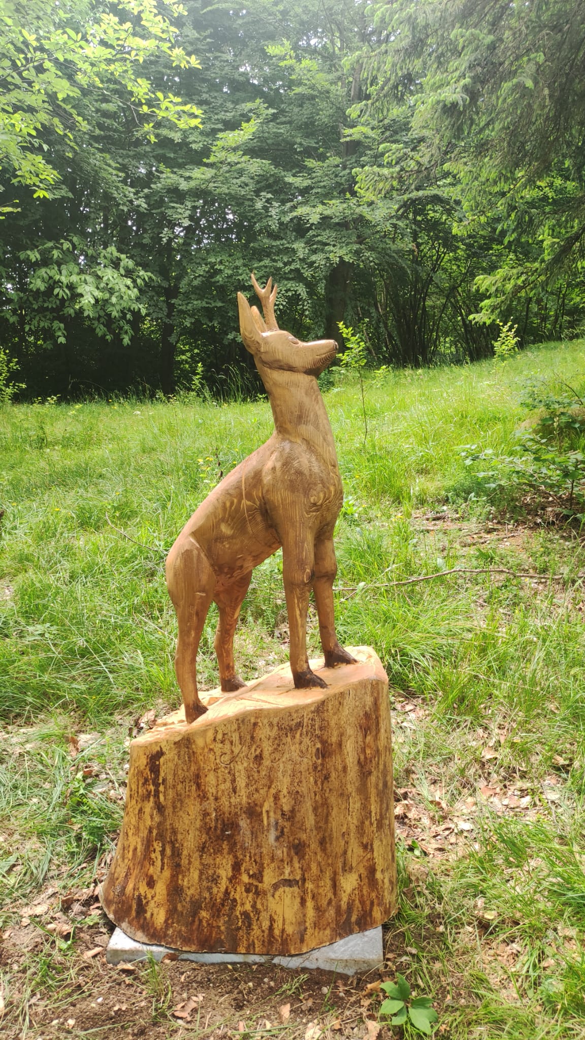 Animale scolpito nel legno