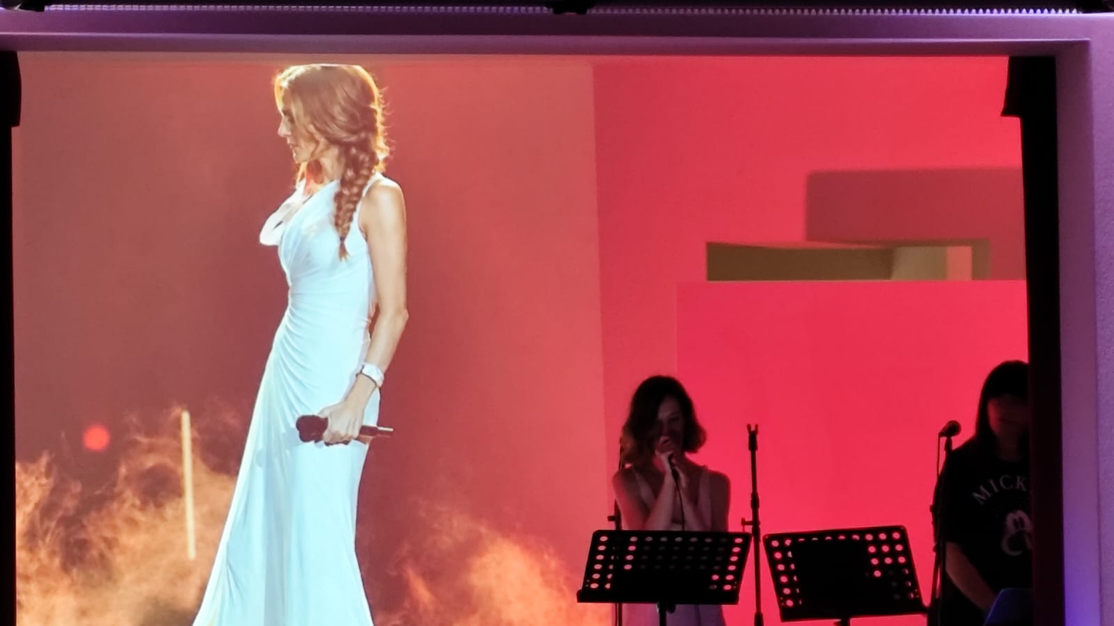 un momento del concerto