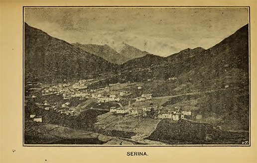 Serina