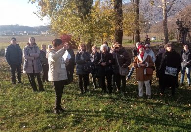 Generazioni Protagoniste – Terza età al Centro