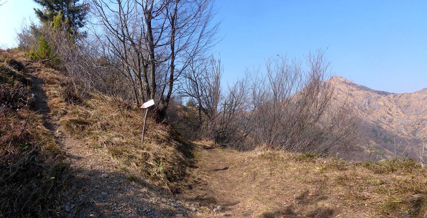 Panoramica Sentiero CAI 561