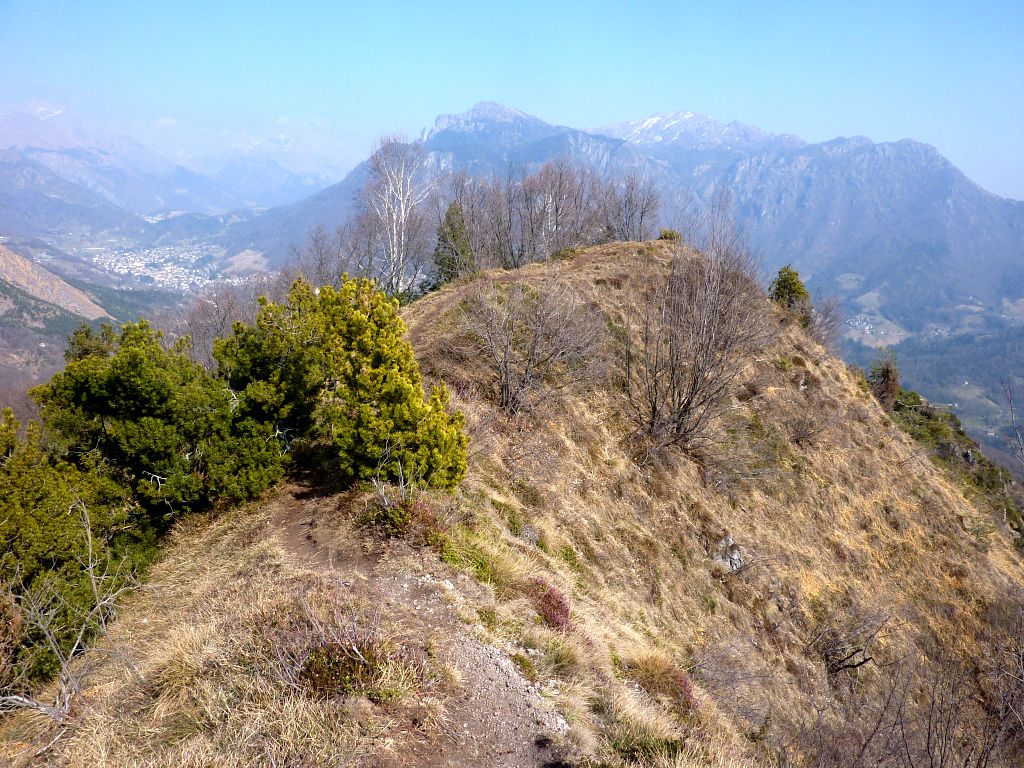 Sentiero 561