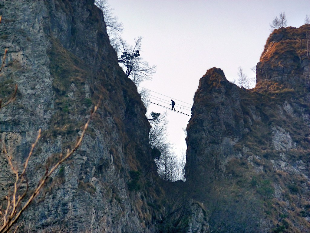 Il ponte tibetano